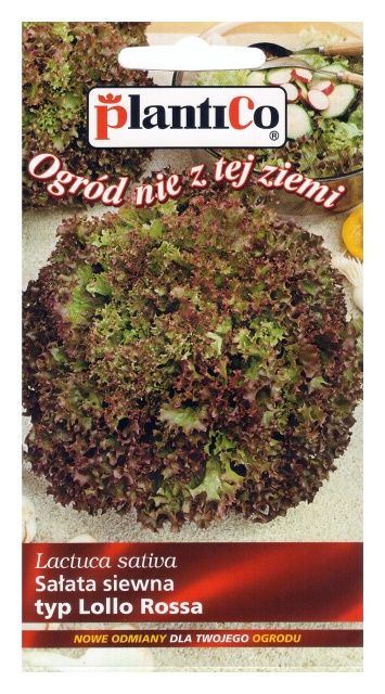 Sałata liściowa LOLLO ROSSA 0,5g PlantiCo