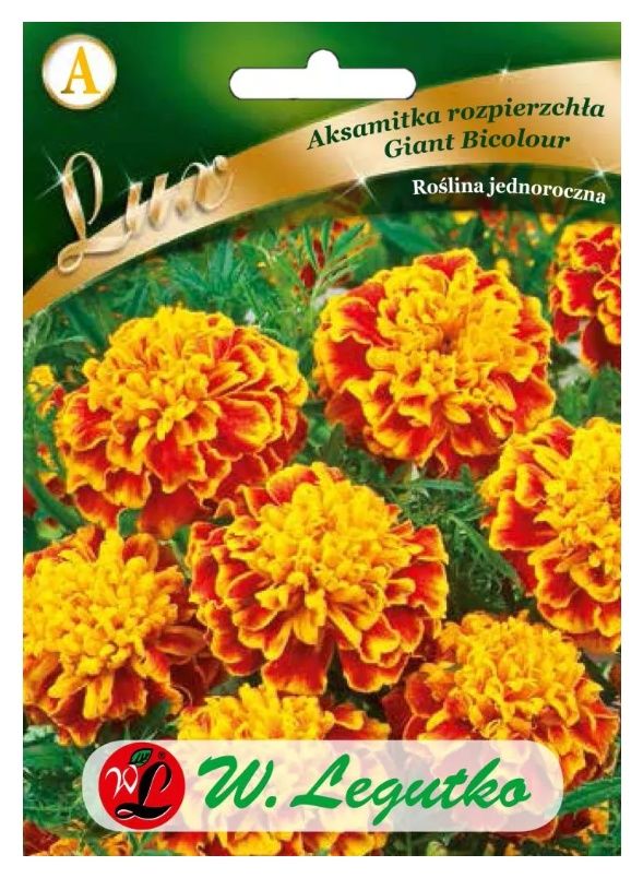 Aksamitka rozpierzchła Giant Bicolour 0,5g Legutko