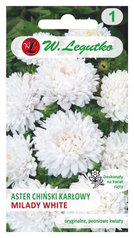Aster chiński karłowy Milady White 1g Legutko