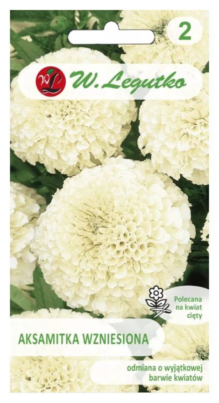 Aksamitka wzniesiona kremowobiała 0,3g Legutko