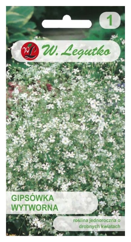 Gipsówka wytworna biała 1g Legutko