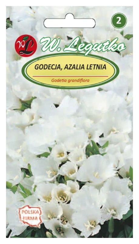 Godecja Azalia letnia biała 1g Legutko