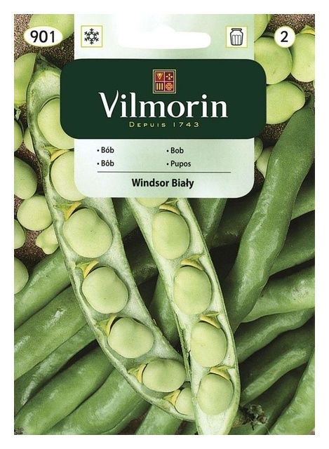 Bób Windsor biały 40g Vilmorin