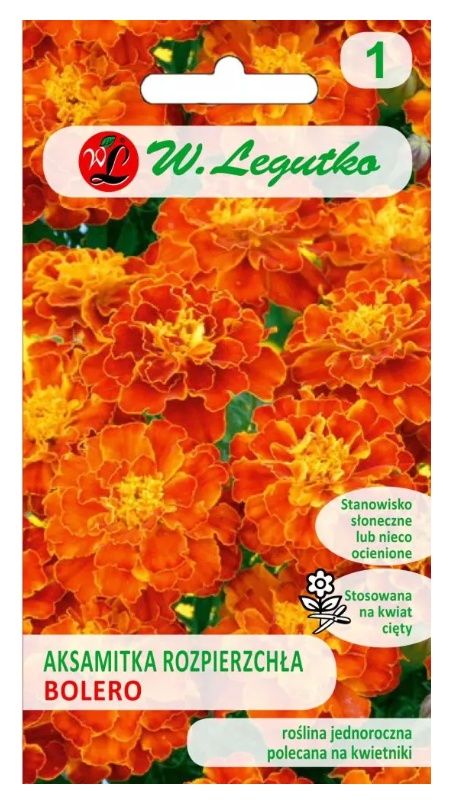 Aksamitka rozpierzchła Bolero - mahoniowa 0,5g Legutko