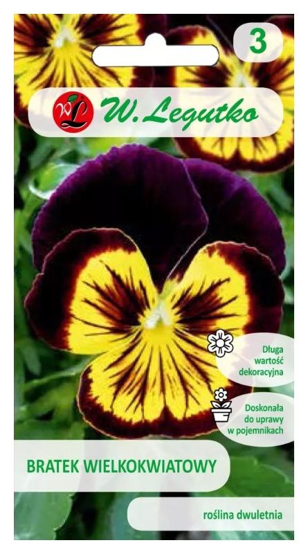 Bratek szwajcarski wielkokwiatowy brązowy 0,4g Legutko