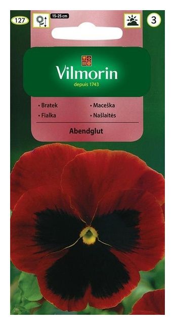 Bratek Abendglut 0,5g Vilmorin