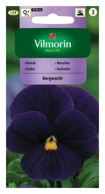 Bratek Bergwacht 0,5g Vilmorin