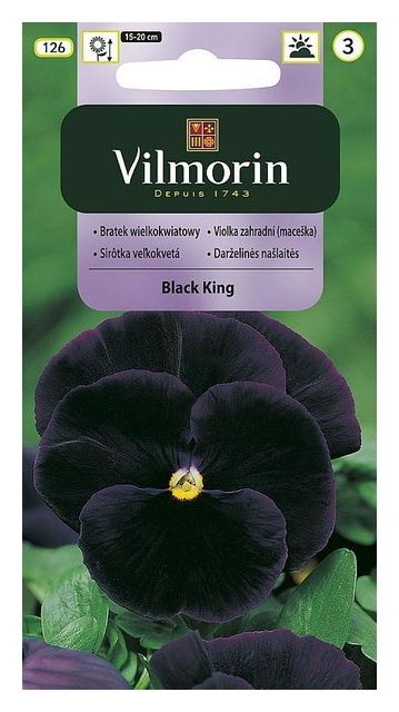 Bratek szwajcarski Black king 0,3g Vilmorin