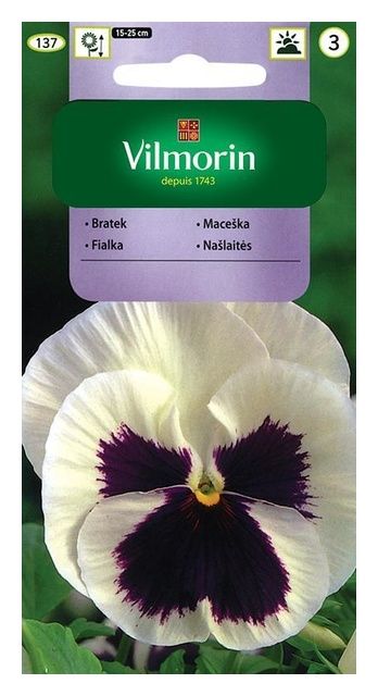 Bratek szwajcarski Weiss mit auge 0,5g Vilmorin