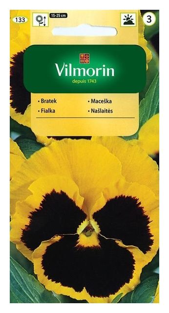 Bratek wielkokwiatowy Gelb mit auge 0,5g Vilmorin