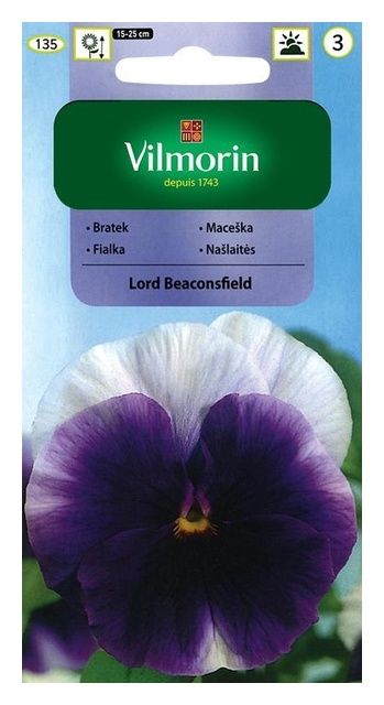 Bratek wielkokwiatowy Lord Beaconsfield 0,5g Vilmorin