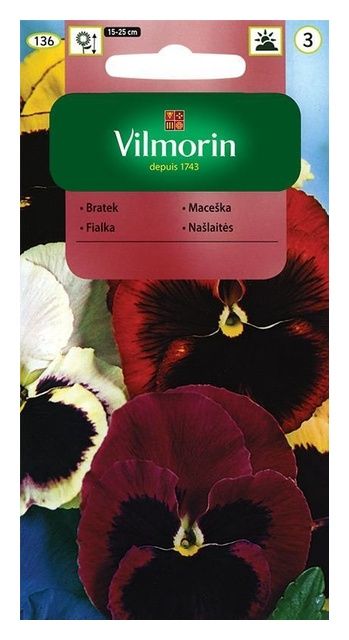 Bratek wielokwiatowy szwajcarski mix 1g Vilmorin