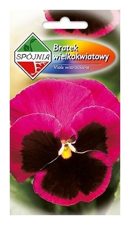 Bratek wielkokwiatowy 0,5g Spójnia