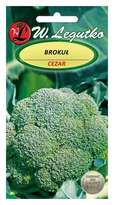 Brokuł Cezar 2g Legutko