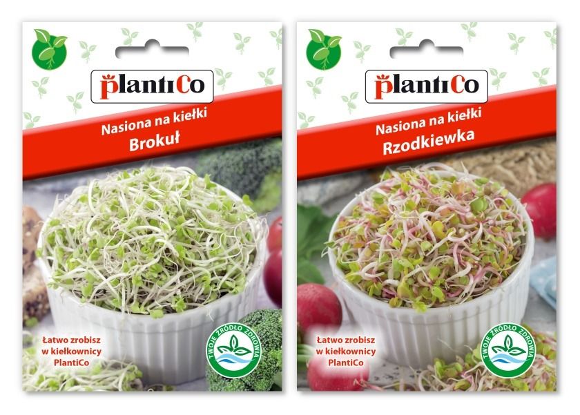 zestaw nasionka kiełki