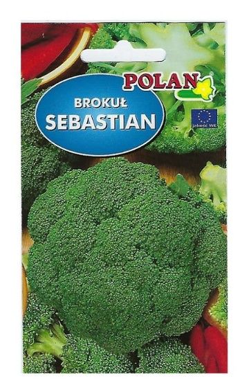Brokuł Sebastian 1g Polan