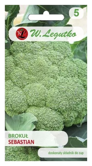 Brokuł Sebastian 2g Legutko