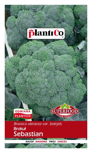 Brokuł SEBASTIAN 2g PlantiCo
