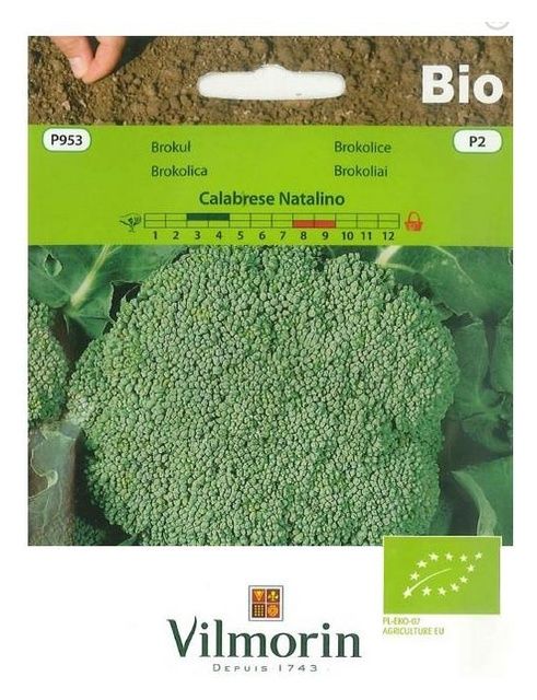 Brokuł Calabrese Natalino Bio 1g Vilmorin