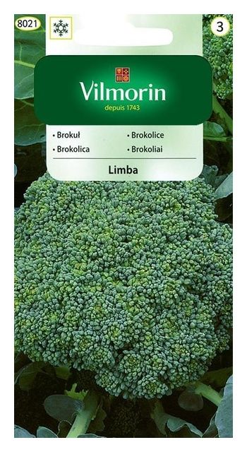 Brokuł Limba 1g Vilmorin