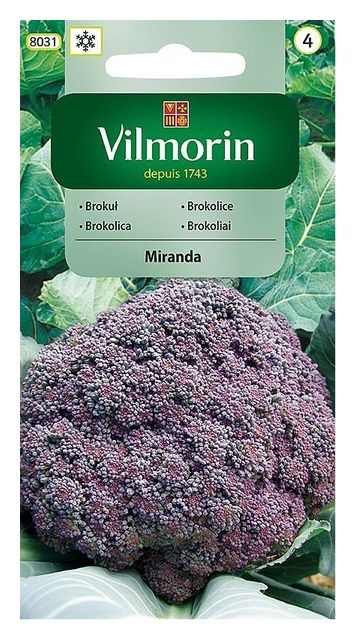 Brokuł Miranda 1g Vilmorin