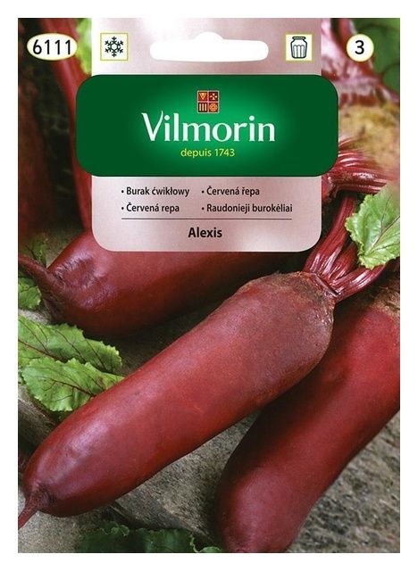 Burak ćwikłowy Alexis 10g Vilmorin