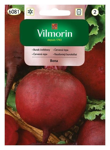 Burak ćwikłowy 10g Vilmorin