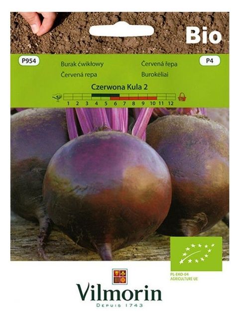 Burak ćwikłowy Czerwona Kula 2 bio 10g  Vilmorin