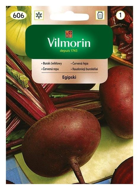 Burak ćwikłowy Egipski 10g Vilmorin