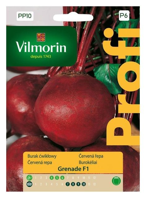 Burak ćwikłowy Grenade 6g F1 Vilmorin 