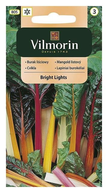 Burak liściasty Bright Lights 1g Vilmorin