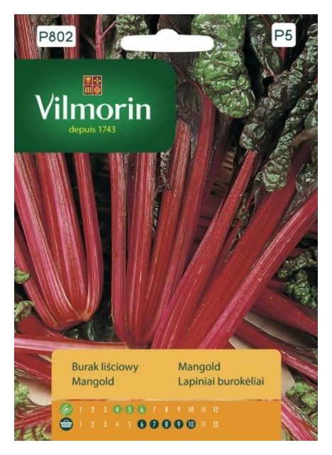 Burak liściowy czerwonolistny 10g Vilmorin