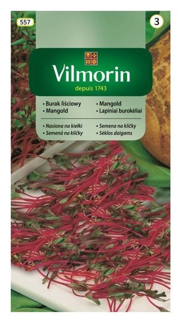 Burak liściowy na kiełki 10g Vilmorin