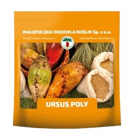 Burak pastewny URSUS POLY C1 0,5kg żółty HBP