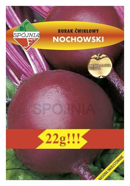 Burak ćwikłowy Nochowski 22g Spójnia