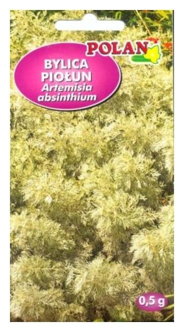 Bylica Piołun1