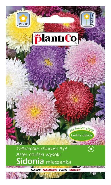 Aster chiński książęcy SIDONIA 1g PlantiCO