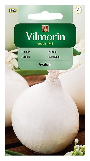 Cebula Avalon 3g Vilmorin