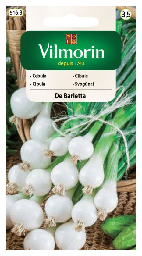 Cebula biała De Barletta 2g Vilmorin