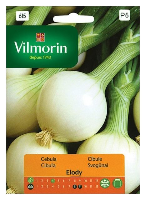 Cebula biała Elody 3g Vilmorin