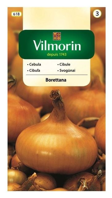 Cebula Borettana Vilmorin