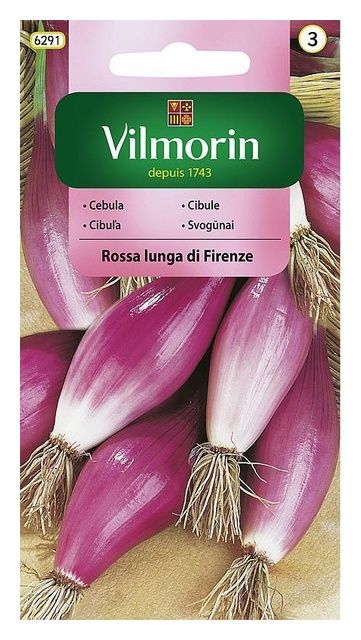 Cebula czerwona Rosa Lunga Di Firenza 2g Vilmorin