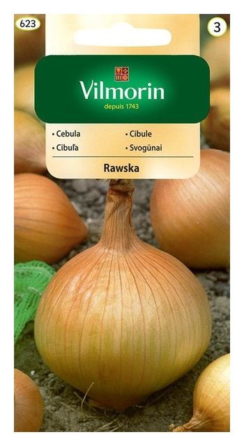 Cebula Rawska 5g Vilmorin