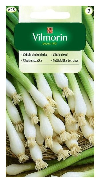 Cebula Siedmiolatka 2g Vilmorin