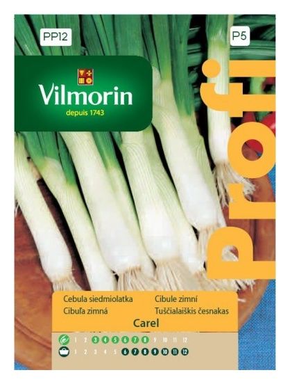 Cebula siedmiolatka Carel 1g Vilmorin