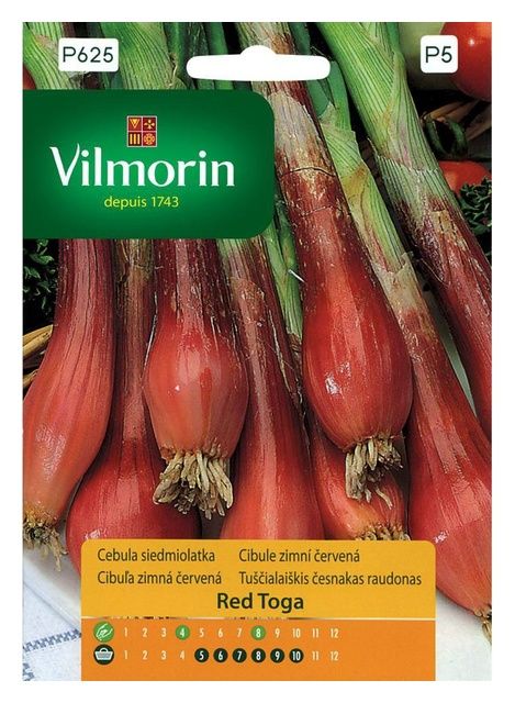Cebula siedmiolatka, czerwona Red Toga 1g Vilomorin