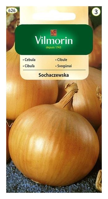 Cebula Sochaczewska 5g Vilmorin