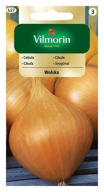 Cebula Wolska 5g Vilmorin