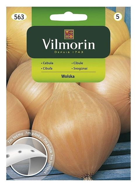 Cebula Wolska taśma 7m Vilmorin