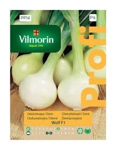 Cebula zimująca Wolf F1 2g Vilmorin 